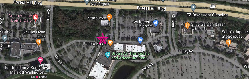 Dance Theatre at Wellington